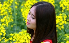 秋葵视频污版下载